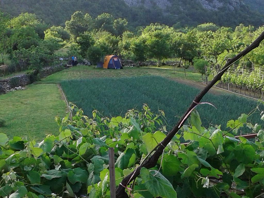 Guesthouse Feel Lake Virpazar Exterior foto